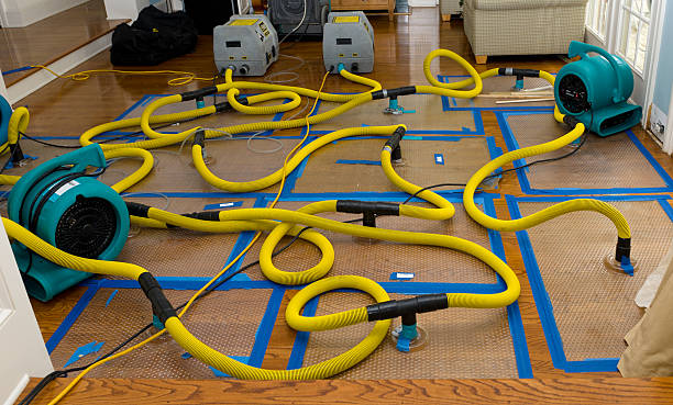 Professional Basement Flood Cleanup technician working in Lavelle, PA